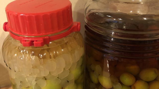 【そりゃうんめぇ、うめに、なるんずら？】