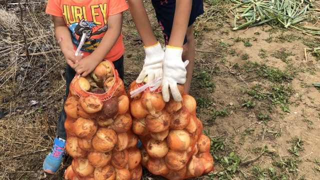 【究極のエンタメ！これで2000円は安すぎる！】