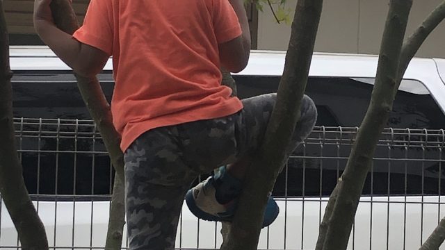 【さっちゃんに負けた日】