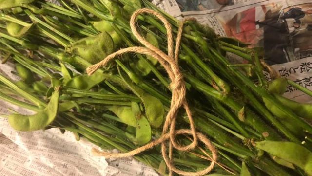 【やよい農園さん。飯山って、おいしいいやま！】