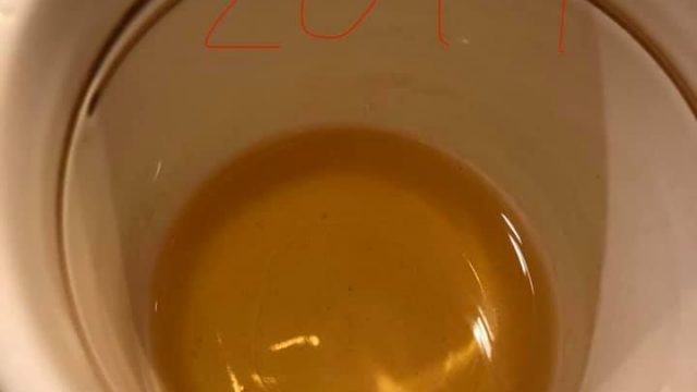 【晩秋の 輝き求めて えびす顔。 うめぇ、うめしゅになったずら。】
