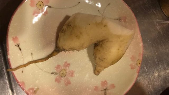 【ねーねー、これって・・・・ママの・・・】