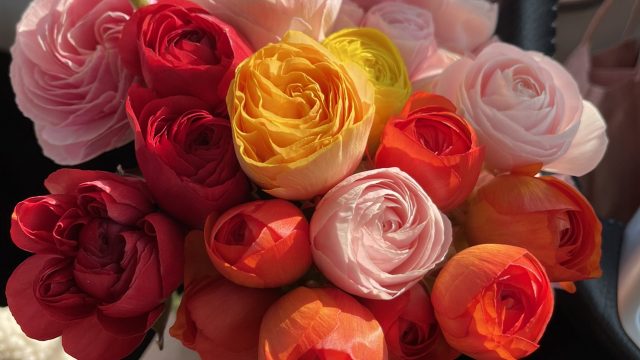 【中１長男、お財布を落としたってよ】